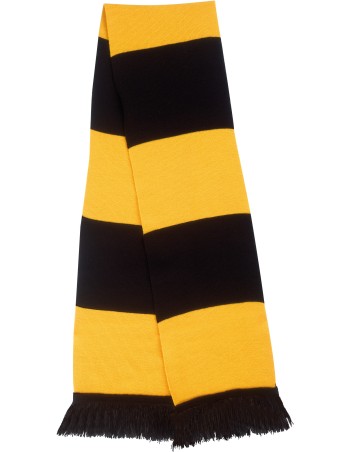Team Scarf 2