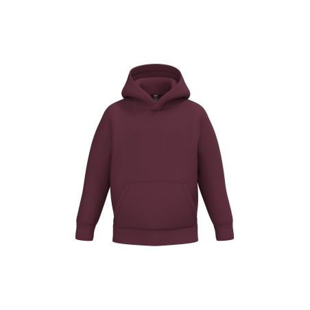 Sudadera capucha infantil