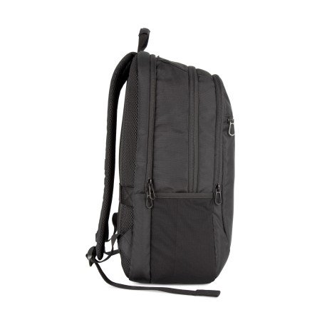 Business backpack