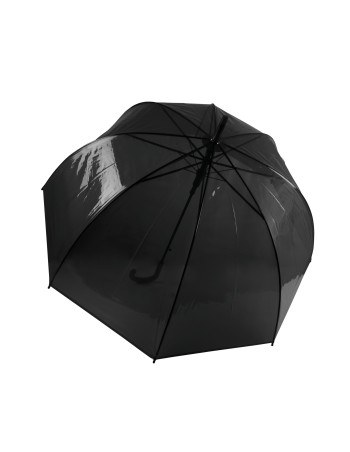 Transparent umbrella 2