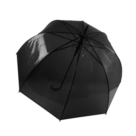 Transparent umbrella