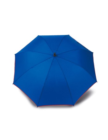 Automatic umbrella