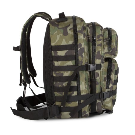 M.O.L.L.E. backpack