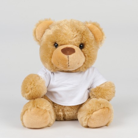 Teddy bear with t-shirt