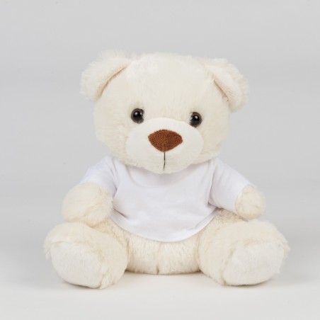 Teddy bear with t-shirt