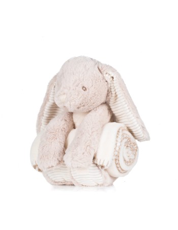 Rabbit and blanket