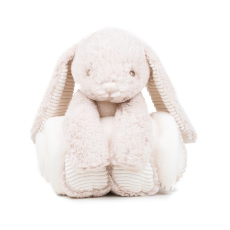 Rabbit and blanket