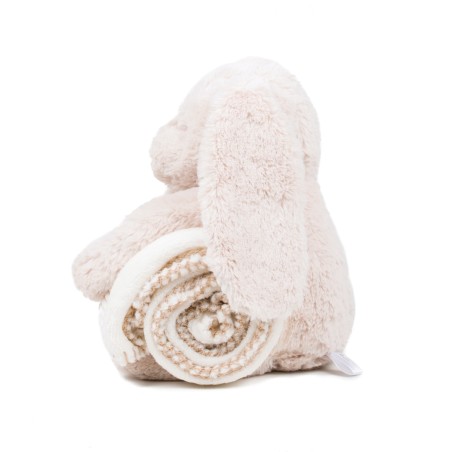Rabbit and blanket