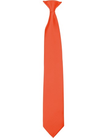 Clip-on tie 2