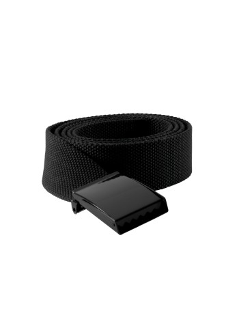 Polyester belt 2