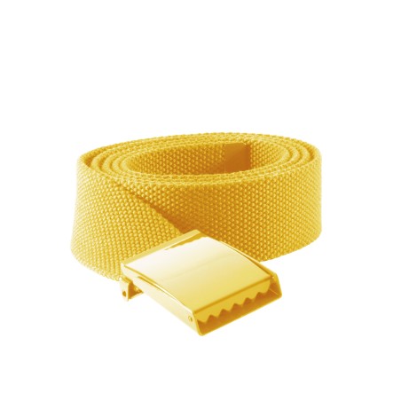 Polyester belt