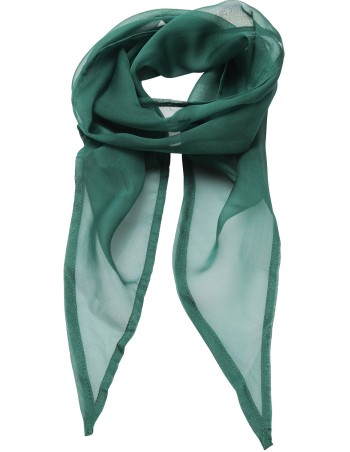 Chiffon Scarf 2