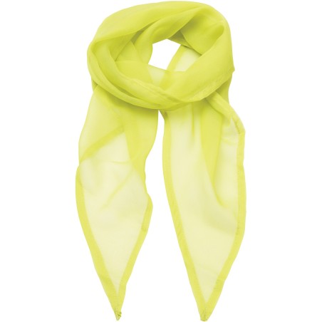Chiffon Scarf