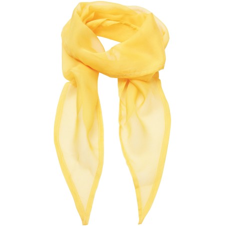 Chiffon Scarf