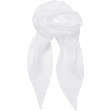 Chiffon Scarf