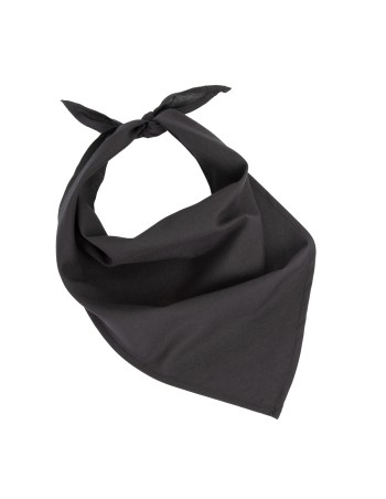 Bandana - Fiesta 2