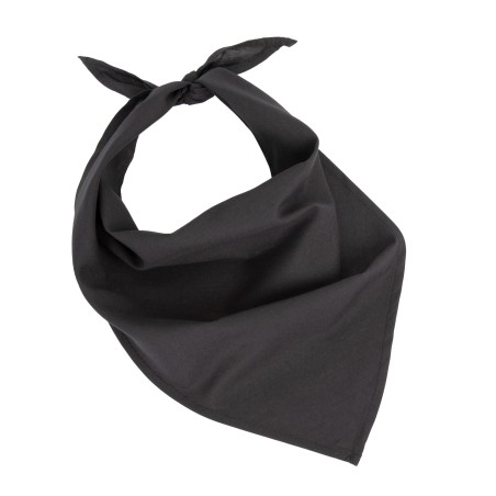 Bandana - Fiesta