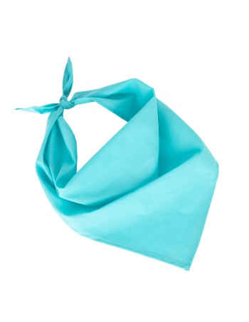 Bandana - Fiesta 2