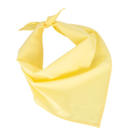 Fiesta - Bandana