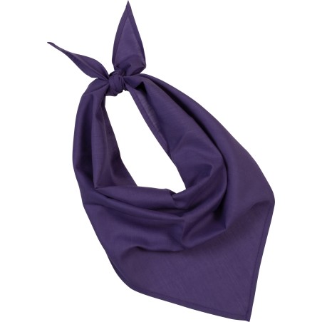 Fiesta - Bandana