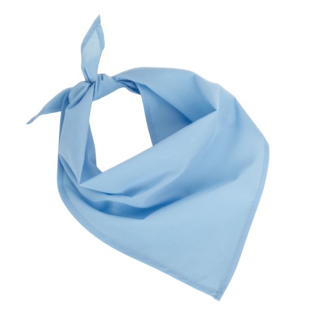 Fiesta - Bandana