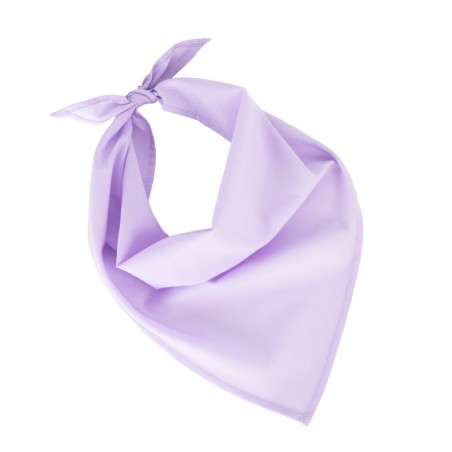 Fiesta - Bandana