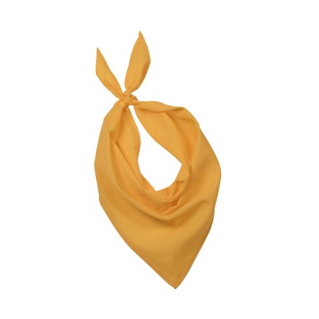 Bandana - Fiesta