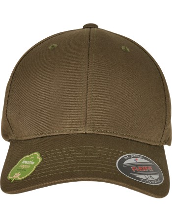 Flexfit organic cotton cap 2