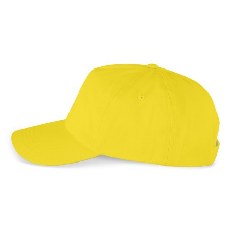 5 panels cap