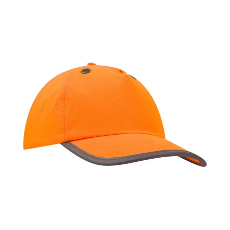 Bump 5 panels Cap